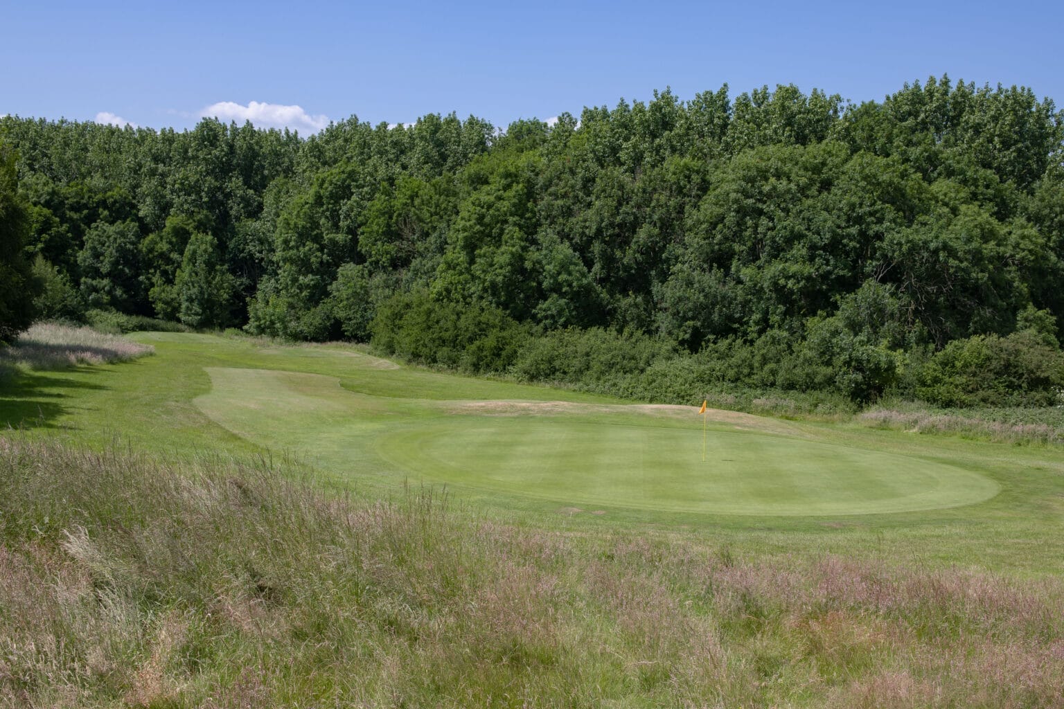 well maintained golf green behind rough shrubbery at golf course near bristol